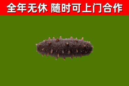 驿城区烟酒回收干海参.jpg